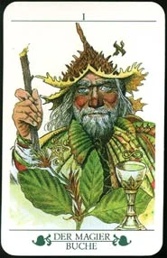 Madru: Das Baum cover