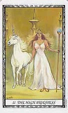 Unicorn cover
