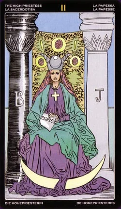 Universal Tarot Professional cover