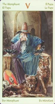 Vikings cover