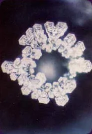 Water Crystal cover