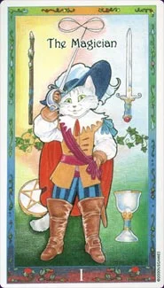 Whimsical cover