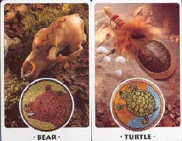 White Eagle Medicine Wheel cover