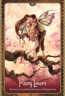 Wild Wisdom of the Faery cover