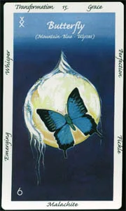Wisdom of the Australian Animals Deck cover