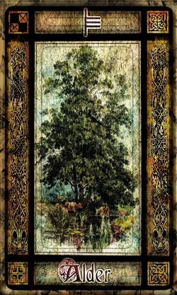 Wisdom of the Woods cover