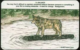 Wolf Pack cover