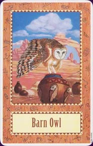 Wolf Song Cards cover