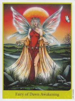 Woodland Wisdom cover