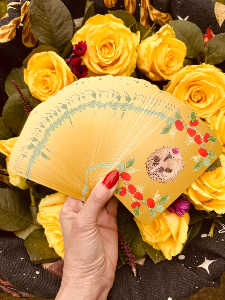 The gold card backs, fanned, showing the echidna and rosehip design