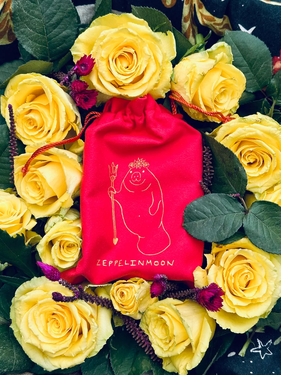 The red velveteen pouch with its gold manatee, holding a trident